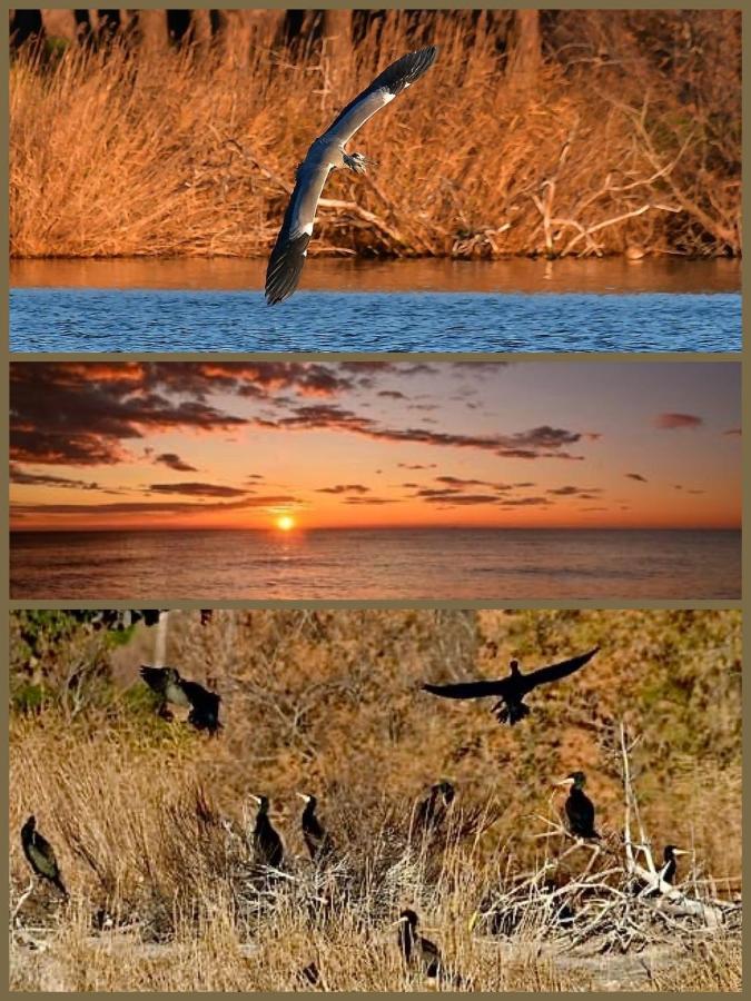 L' Appart Du Golf Сен-Сиприен Экстерьер фото